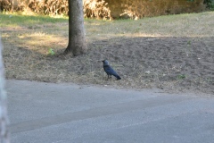 DSC_0882-2K-JPEG